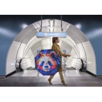 Modern Art Monkey - goły parasol strzelecki